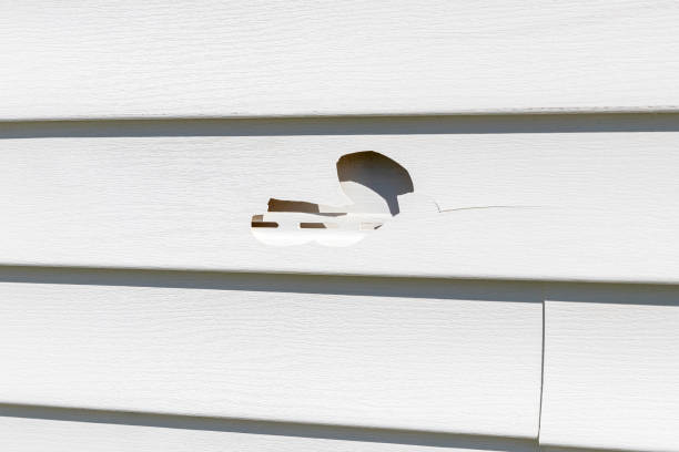 Best Storm Damage Siding Repair  in Bellport, NY